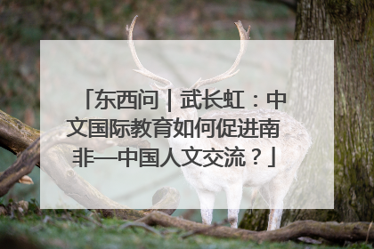 东西问｜武长虹：中文国际教育如何促进南非—中国人文交流？