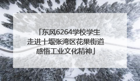 东风6264学校学生走进十堰张湾区花果街道感悟工业文化精神