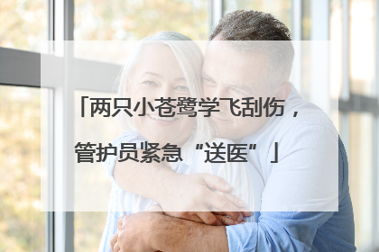 两只小苍鹭学飞刮伤，管护员紧急“送医”