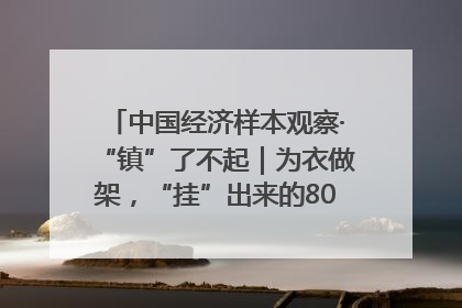 中国经济样本观察·“镇”了不起｜为衣做架，“挂”出来的80亿元“衣架产业”