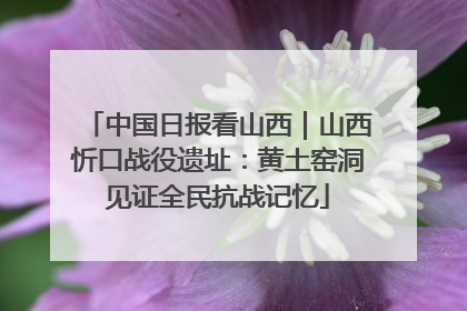 中国日报看山西｜山西忻口战役遗址：黄土窑洞见证全民抗战记忆