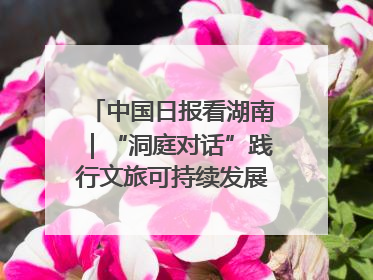 中国日报看湖南｜“洞庭对话”践行文旅可持续发展的生态之约