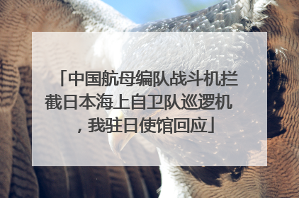 中国航母编队战斗机拦截日本海上自卫队巡逻机，我驻日使馆回应