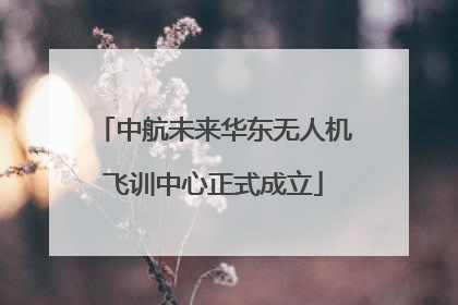 中航未来华东无人机飞训中心正式成立