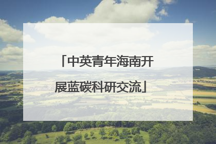 中英青年海南开展蓝碳科研交流