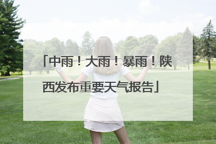 中雨！大雨！暴雨！陕西发布重要天气报告