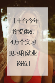 丰台今年将提供6.4万个实习见习和就业岗位