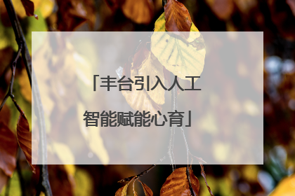 丰台引入人工智能赋能心育