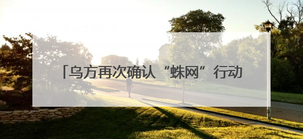 乌方再次确认“蛛网”行动中俄军损失41架军用飞机