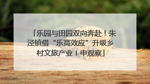 乐园与田园双向奔赴！朱泾镇借“乐高效应”升级乡村文旅产业〡申观察