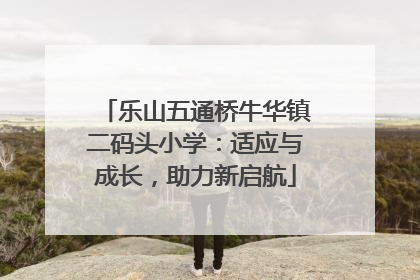乐山五通桥牛华镇二码头小学：适应与成长，助力新启航
