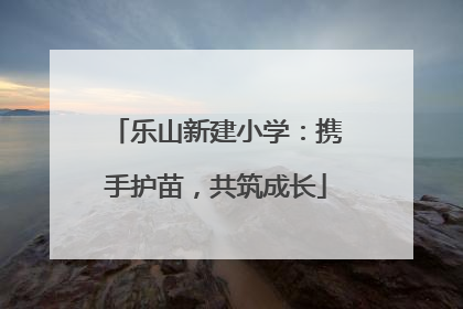 乐山新建小学：携手护苗，共筑成长
