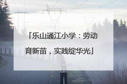 乐山通江小学：劳动育新苗，实践绽华光