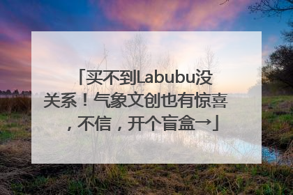 买不到Labubu没关系！气象文创也有惊喜，不信，开个盲盒→