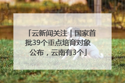 云新闻关注｜国家首批39个重点培育对象公布，云南有3个