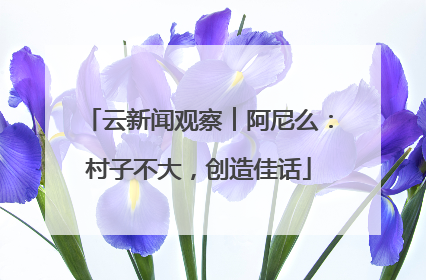 云新闻观察︱阿尼么：村子不大，创造佳话