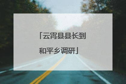 云霄县县长到和平乡调研