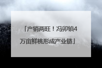 产销两旺！冯卯镇4万亩鲜桃形成产业链