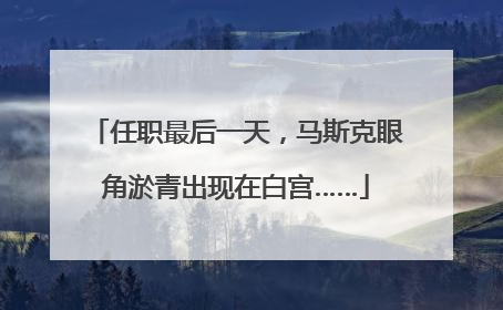 任职最后一天，马斯克眼角淤青出现在白宫……
