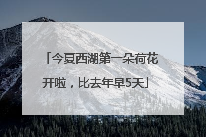 今夏西湖第一朵荷花开啦，比去年早5天