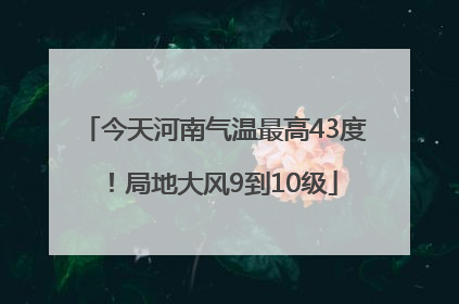 今天河南气温最高43度！局地大风9到10级