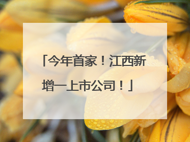 今年首家！江西新增一上市公司！