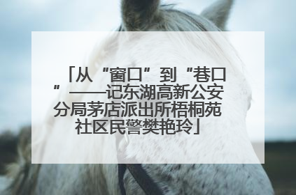 从“窗口”到“巷口”——记东湖高新公安分局茅店派出所梧桐苑社区民警樊艳玲