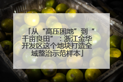 从“高压困地”到“千亩良田”：浙江金华开发区这个地块打造全域整治示范样本