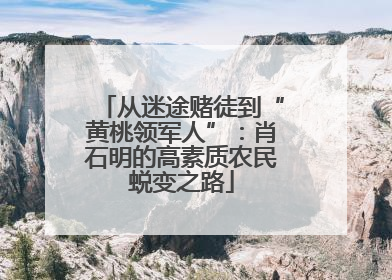 从迷途赌徒到“黄桃领军人”：肖石明的高素质农民蜕变之路