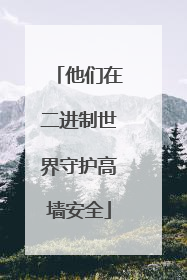 他们在二进制世界守护高墙安全