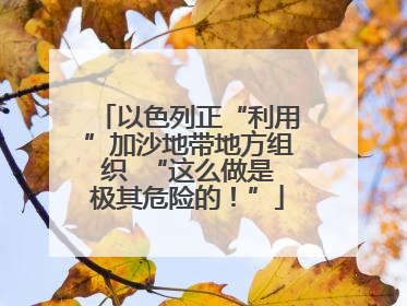 以色列正“利用”加沙地带地方组织  “这么做是极其危险的！”