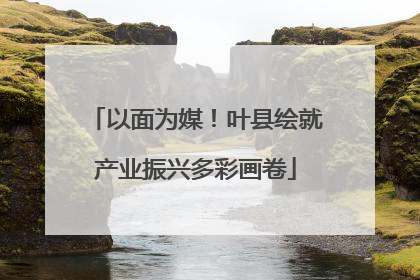 以面为媒！叶县绘就产业振兴多彩画卷