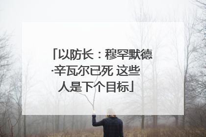 以防长：穆罕默德·辛瓦尔已死 这些人是下个目标