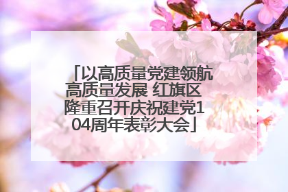 以高质量党建领航高质量发展 红旗区隆重召开庆祝建党104周年表彰大会