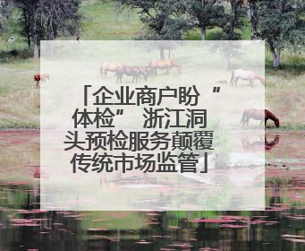 企业商户盼“体检” 浙江洞头预检服务颠覆传统市场监管
