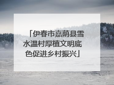 伊春市嘉荫县雪水温村厚植文明底色促进乡村振兴