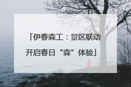 伊春森工：景区联动开启春日“森”体验
