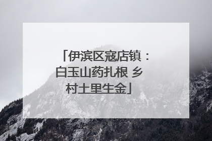伊滨区寇店镇：白玉山药扎根 乡村土里生金