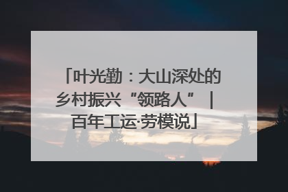 叶光勤：大山深处的乡村振兴“领路人”｜百年工运·劳模说