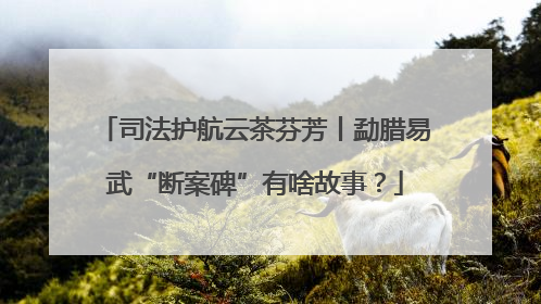 司法护航云茶芬芳丨勐腊易武“断案碑”有啥故事？