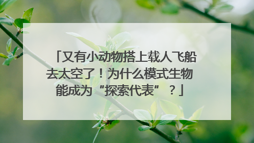 又有小动物搭上载人飞船去太空了！为什么模式生物能成为“探索代表”？