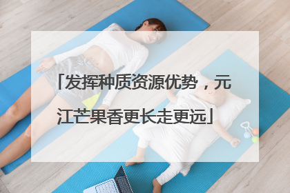 发挥种质资源优势，元江芒果香更长走更远