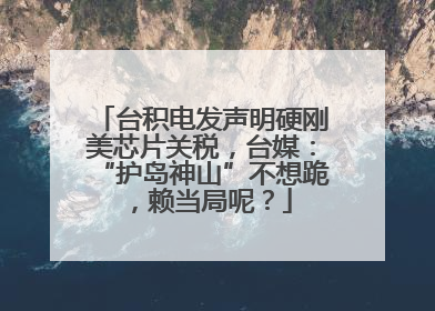 台积电发声明硬刚美芯片关税，台媒：“护岛神山”不想跪，赖当局呢？