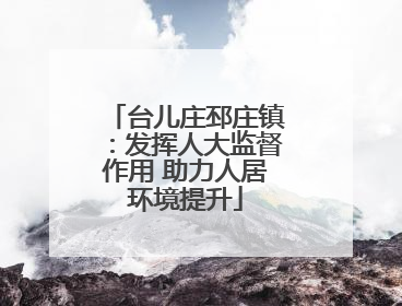 台儿庄邳庄镇：发挥人大监督作用 助力人居环境提升