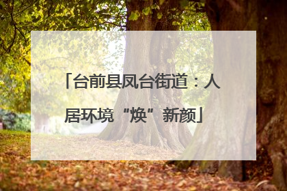 台前县凤台街道：人居环境“焕”新颜