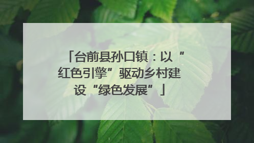 台前县孙口镇：以“红色引擎”驱动乡村建设“绿色发展”