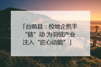 台前县：校地企携手“链”动 为羽绒产业注入“匠心动能”