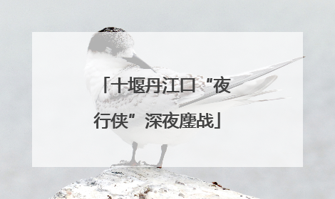 十堰丹江口“夜行侠”深夜鏖战