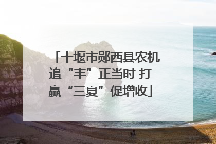 十堰市郧西县农机追“丰”正当时 打赢“三夏”促增收