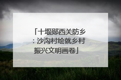 十堰郧西关防乡：沙沟村绘就乡村振兴文明画卷
